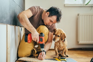 Man and his dog doing renovation work at home