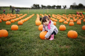 Little girl at the pumpkin patch