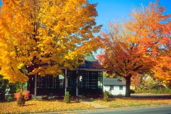 House in the Fall